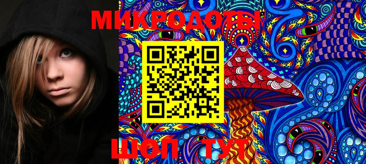 продажа наркотиков  Галлюциногенные грибы Psilocybine cubensis  Вход с VPN  Асино 